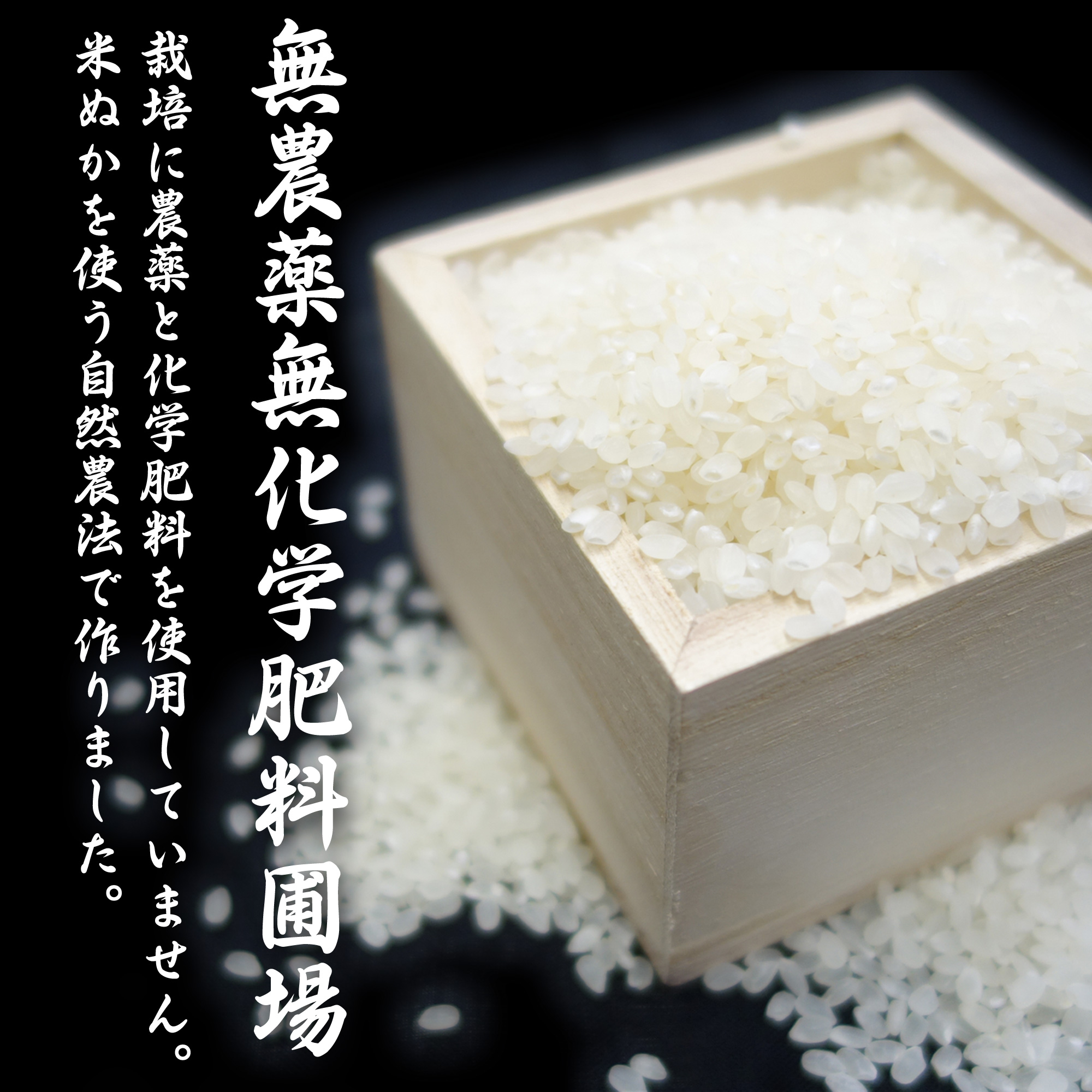 ☆新米☆[白米]特別栽培米ミルキークイーン５ｋｇ有機肥料減農薬栽培 米