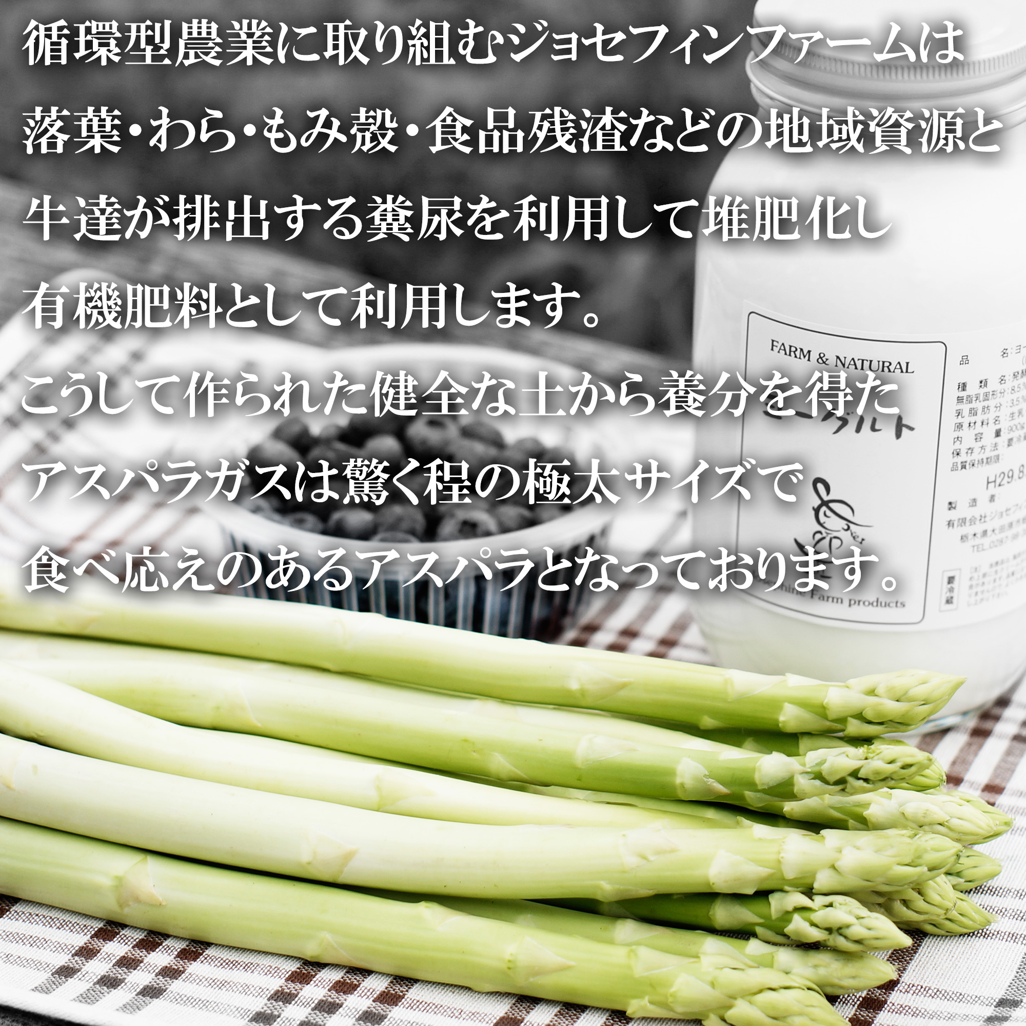 循環型農業により健全な土から養分を得たアスパラは食べ応えのあるサイズ感