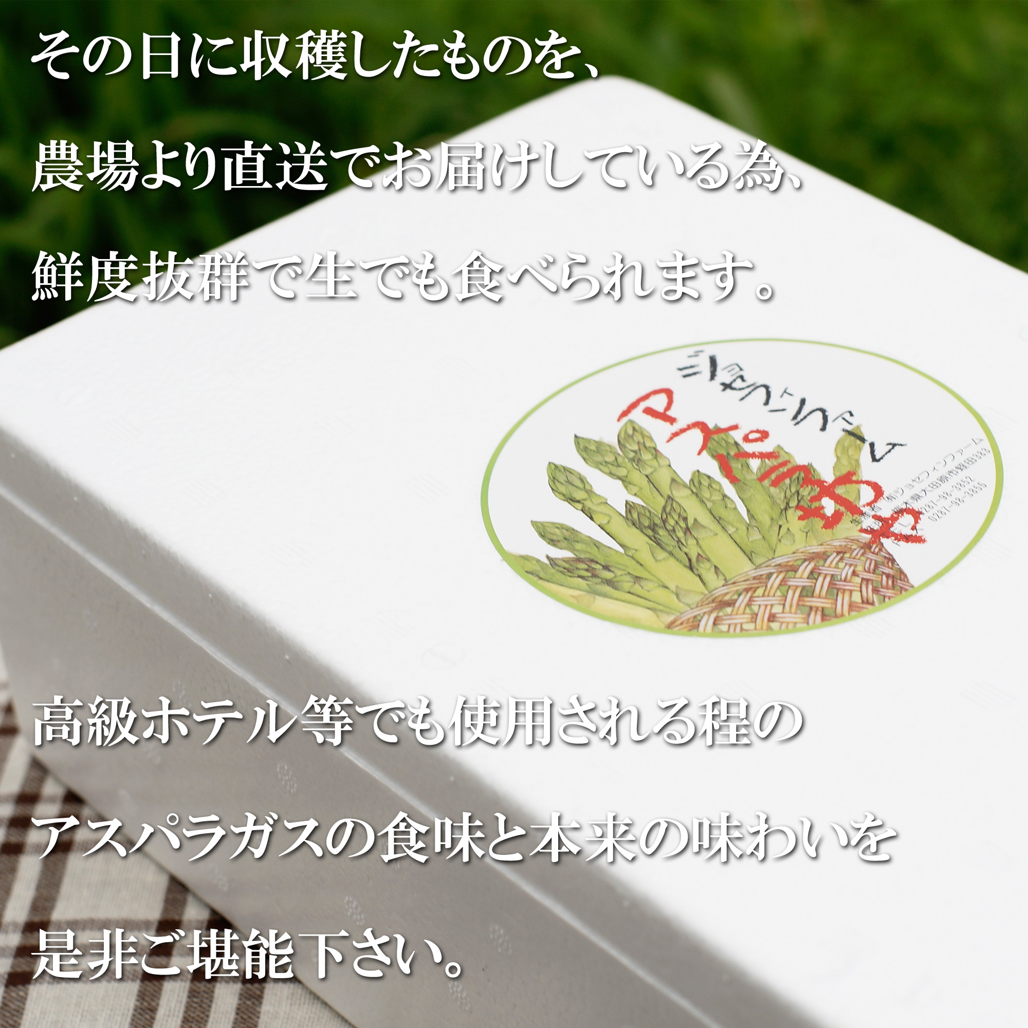 その日に収穫した物を農場より直送。