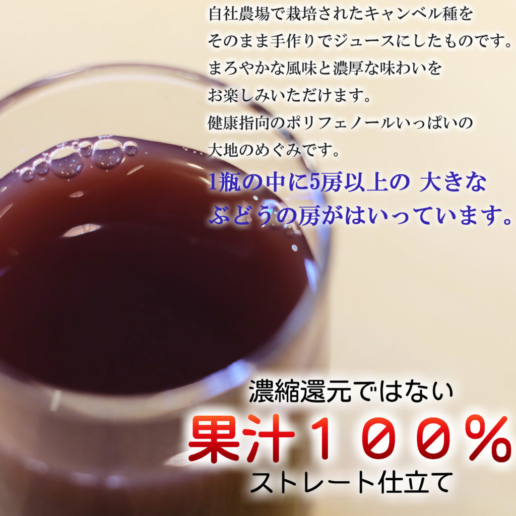 かぬま 里山のめぐみ 完熟ぶどうジュース 1000ml [ お土産 父の日 プレゼント ]-2