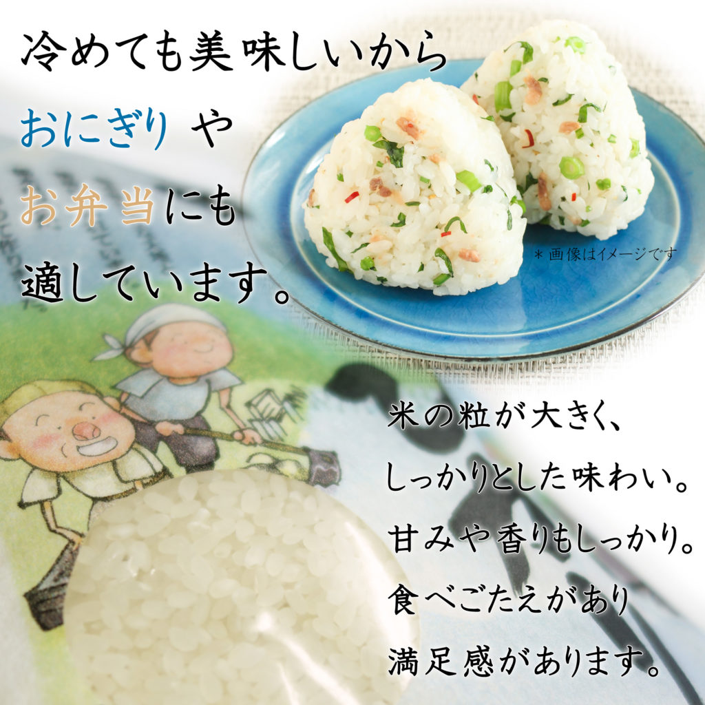 栃木県のオリジナル品種 米 なすひかり 2kg-2