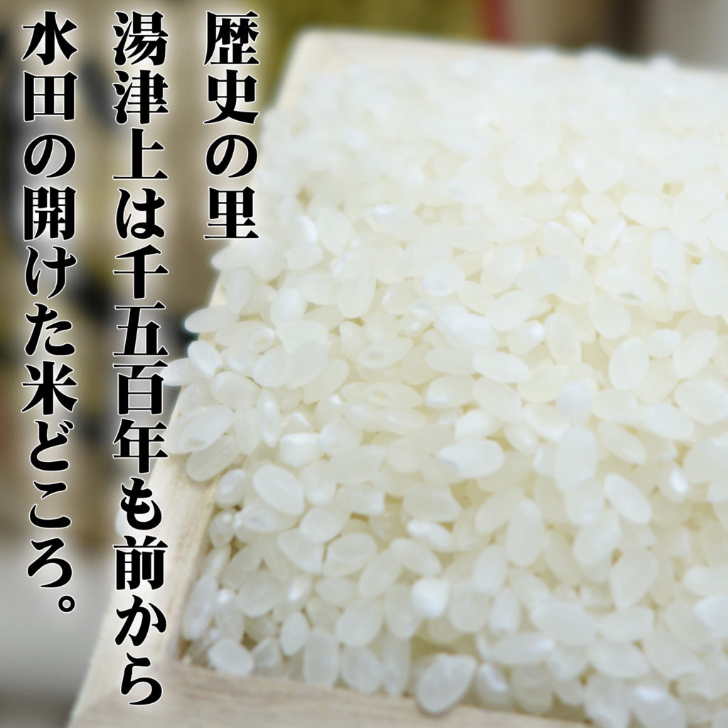 大田原市湯津上産 契約栽培米コシヒカリ 1kg-1