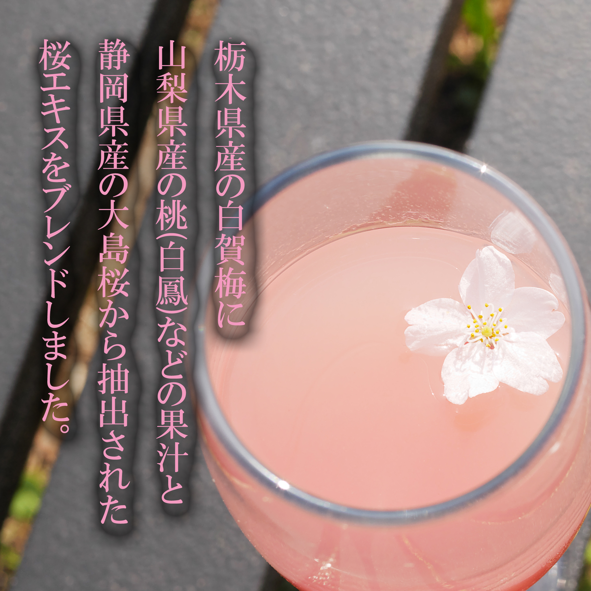 梅桃桜 栃木県産 白賀梅 桃 白鳳 大島桜 桜エキス