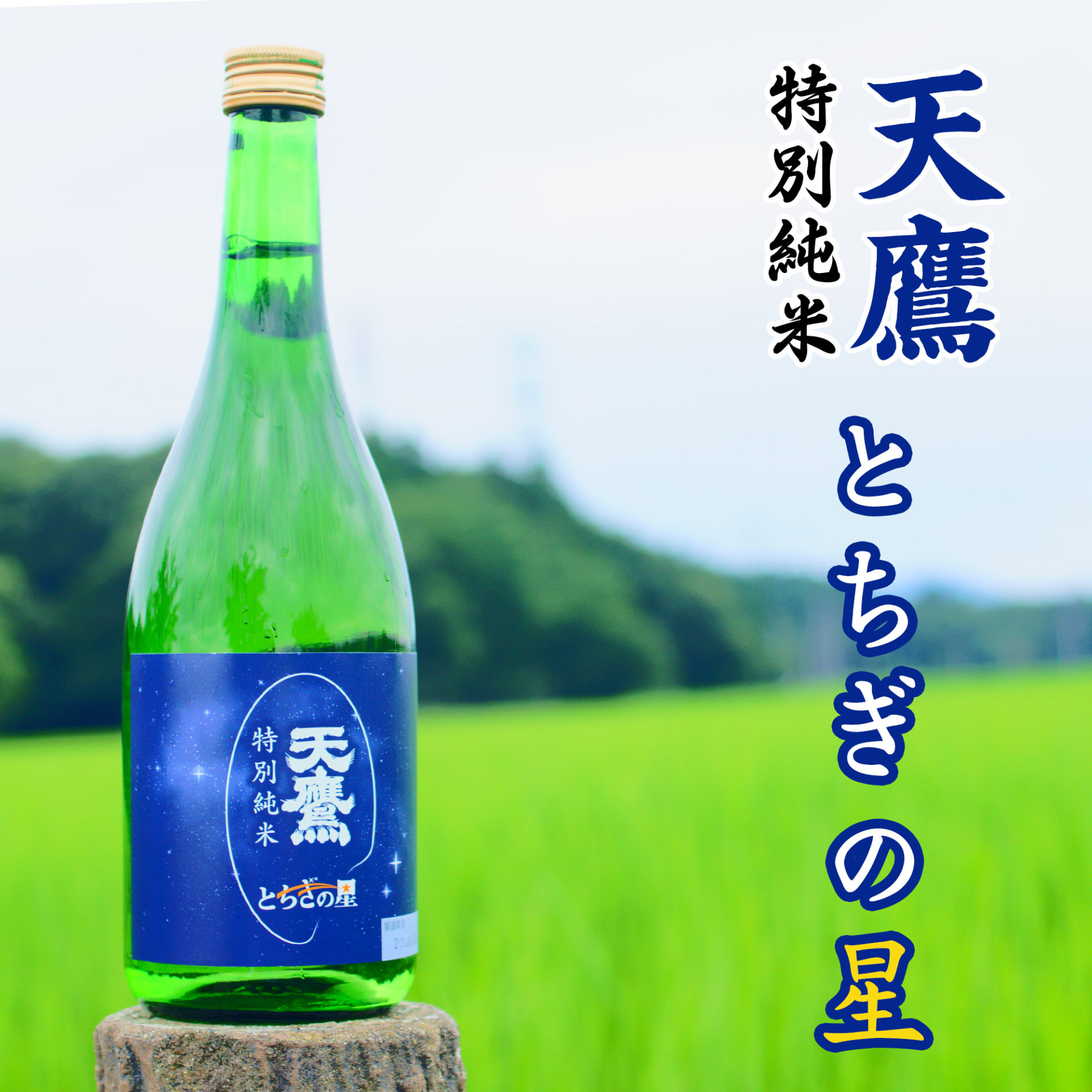 天鷹 特別純米 とちぎの星 720ml(4合瓶) | 日本酒 清酒 天鷹 特別純米 とちぎの星 720ml(4合瓶) | 日本酒 清酒