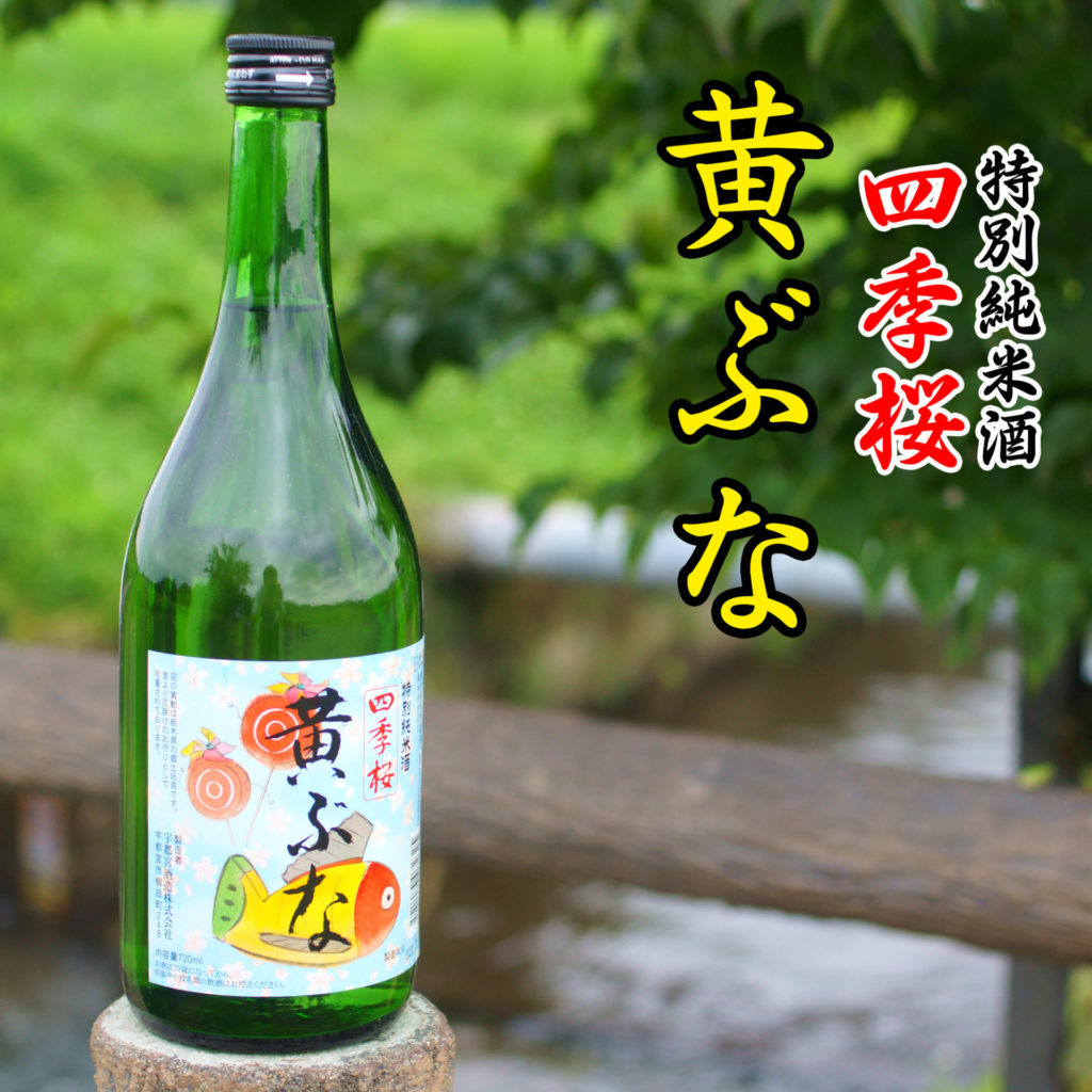 四季桜 特別純米 黄ぶな 720ml