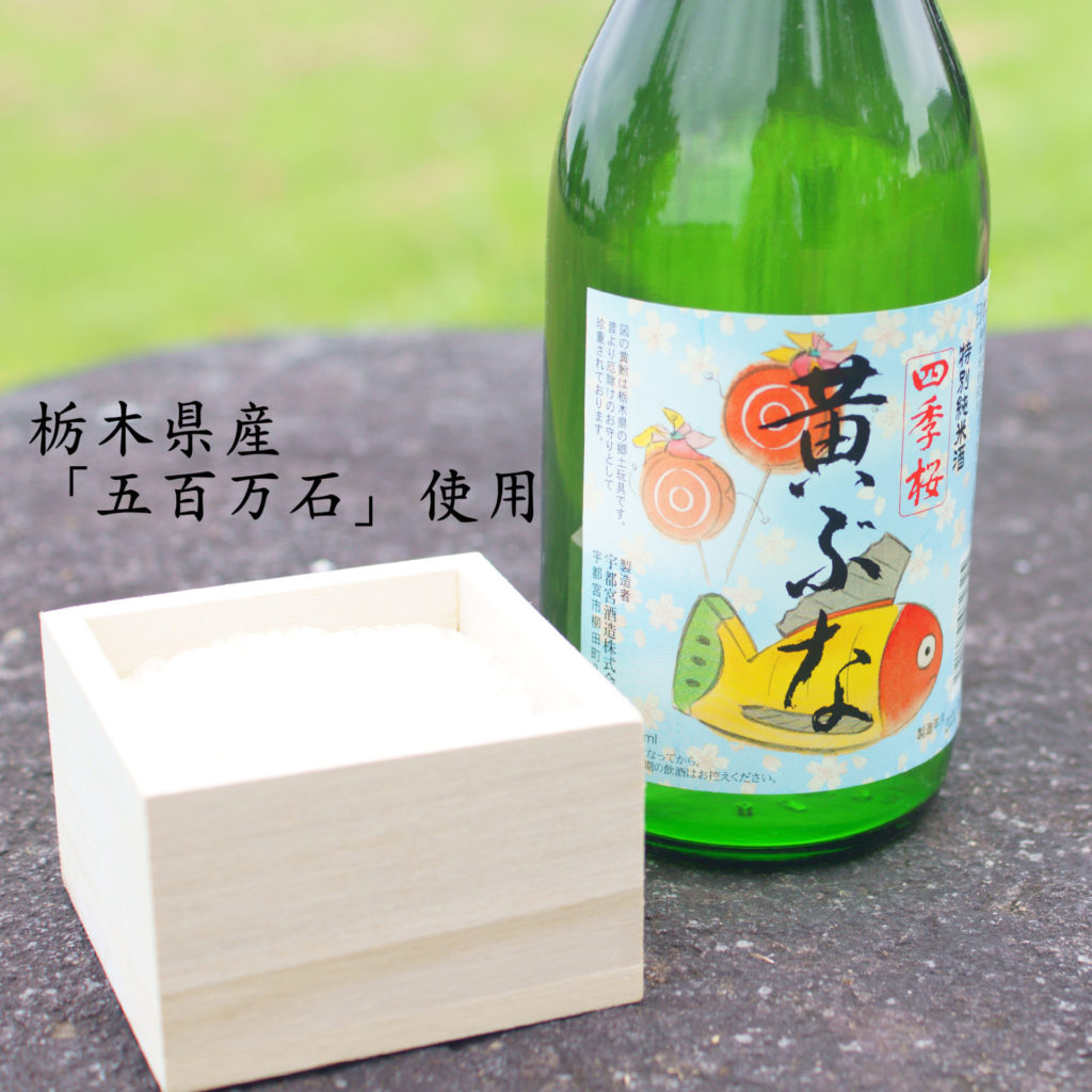 四季桜 特別純米 黄ぶな 720ml 栃木県産米「五百万石」使用